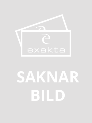 Att leva med dolda funktionsnedsättningar efter stroke
